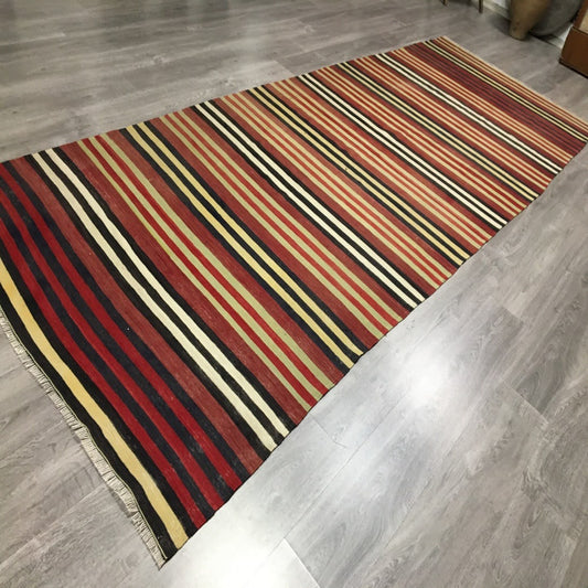 Standard Size Rug